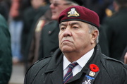 19th Nov 2012 - Veterans Day, Quebec City