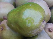 11th Nov 2012 - Nice Pear