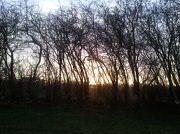 13th Nov 2012 - Sun Rise