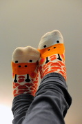 16th Nov 2012 - Giraffe Socks!