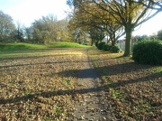 20th Nov 2012 - A walk in the park