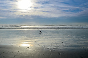 20th Nov 2012 - Ocean View