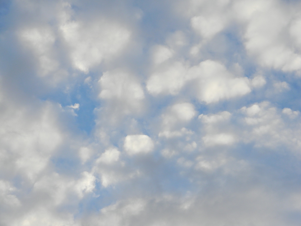 Cloud Paradise 11.20.12 by sfeldphotos