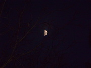 21st Nov 2012 - Same Moon