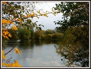 21st Nov 2012 - Leaves around the lake