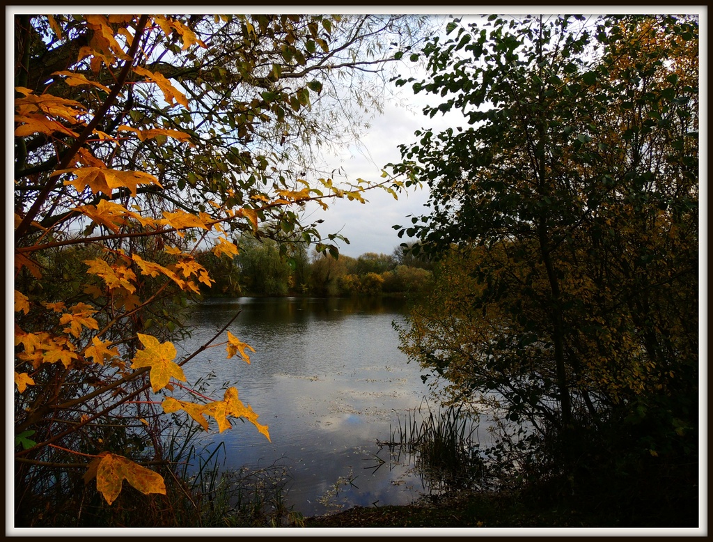 Autumn Finger Lake by rosiekind