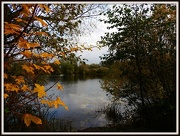 21st Nov 2012 - Autumn Finger Lake