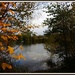 Autumn Finger Lake by rosiekind