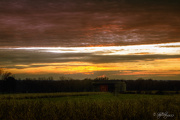 20th Nov 2012 - Farmland Sunset