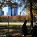 November in Central Park by darrenboyj