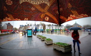 21st Nov 2012 - View from my umbrella