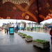 View from my umbrella by boxplayer