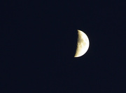 19th Nov 2012 - (Day 280) - Bitten Moon