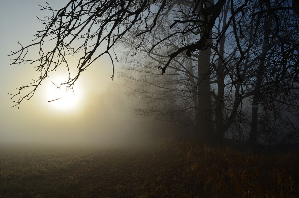 Little Land Fog in the Morning by myhrhelper