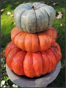 22nd Nov 2012 - Pumpkin Pile-Up