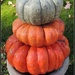 Pumpkin Pile-Up by allie912