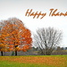 Happy Thanksgiving by peggysirk