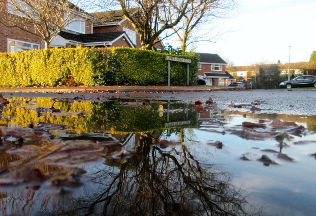 Sunny suburban puddle scene. by quietpurplehaze