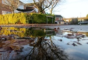 22nd Nov 2012 - Sunny suburban puddle scene.