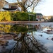 Sunny suburban puddle scene. by quietpurplehaze