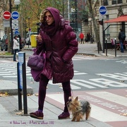 22nd Nov 2012 - Just for fun: The purple lady