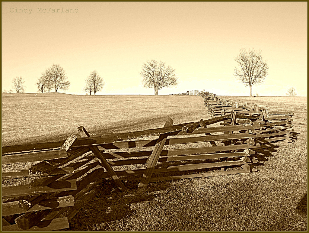 Fence Line Over the Horizon by cindymc