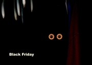 23rd Nov 2012 - Shopping on Black Friday