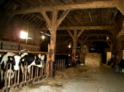 23rd Nov 2012 - The inside of that old barn