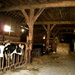 The inside of that old barn by pyrrhula