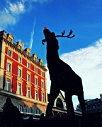 22nd Nov 2012 - Rudolph's in Town