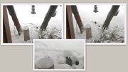 24th Nov 2012 - First snow fall