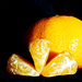 Citrus Season by kwind