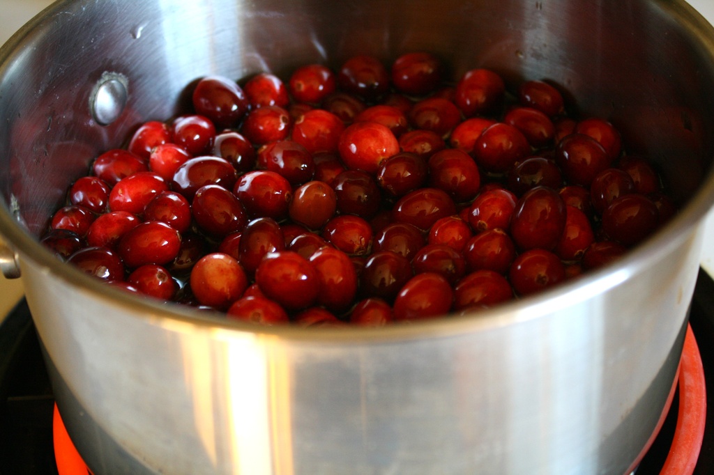 Cranberries by mittens