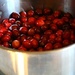 Cranberries by mittens