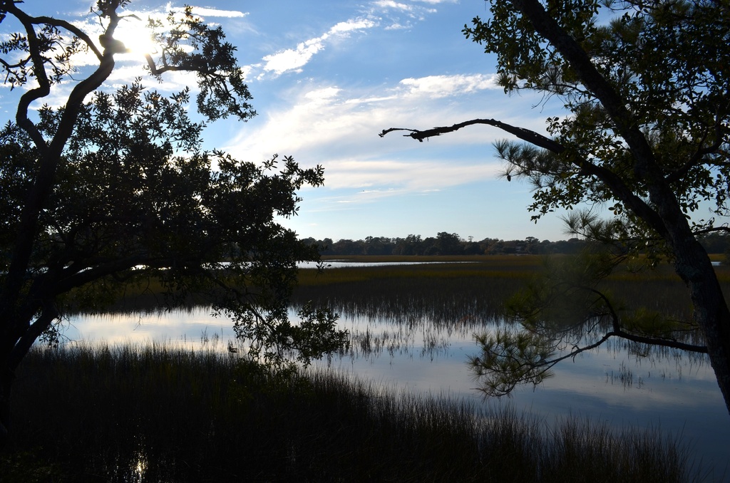 Marsh scene at high tide, Charles Towne Landing State Historic Site, Charleston, SC by congaree
