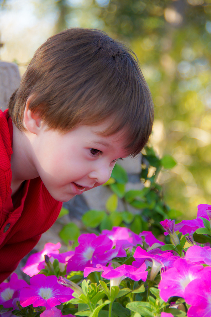 Enjoying the flowers by danette