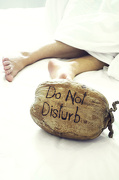 25th Nov 2012 - Do not disturb :)