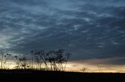 24th Nov 2012 - Sooc sunrise