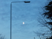 25th Nov 2012 - Blue Moon.