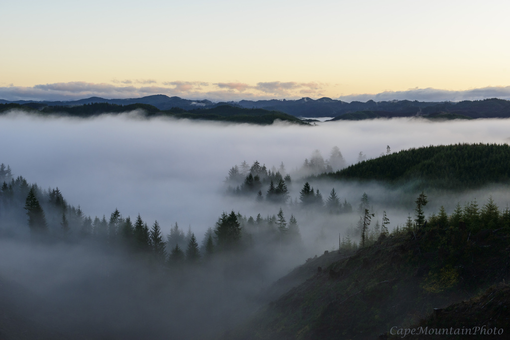 Foggy Dawn Above Tahkenitch by jgpittenger