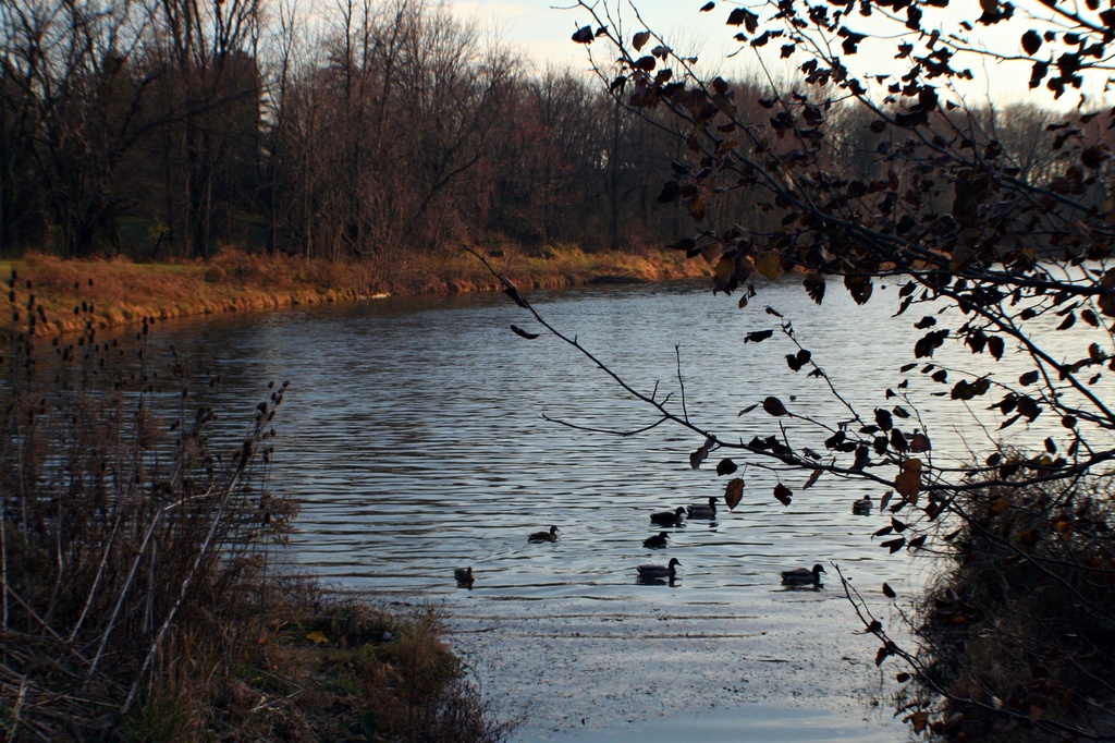 Cold And Quiet By The Lake by digitalrn