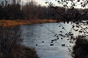 26th Nov 2012 - Cold And Quiet By The Lake