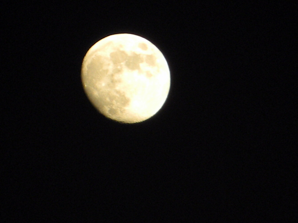 Moon 11.25.12 005 by sfeldphotos
