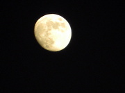 25th Nov 2012 - Moon 11.25.12 005