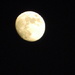 Moon 11.25.12 005 by sfeldphotos