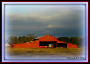12th Nov 2012 - Another View of the Barn
