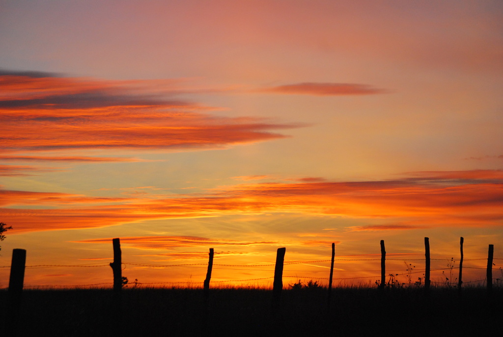 Country Fence at Sunset by kareenking