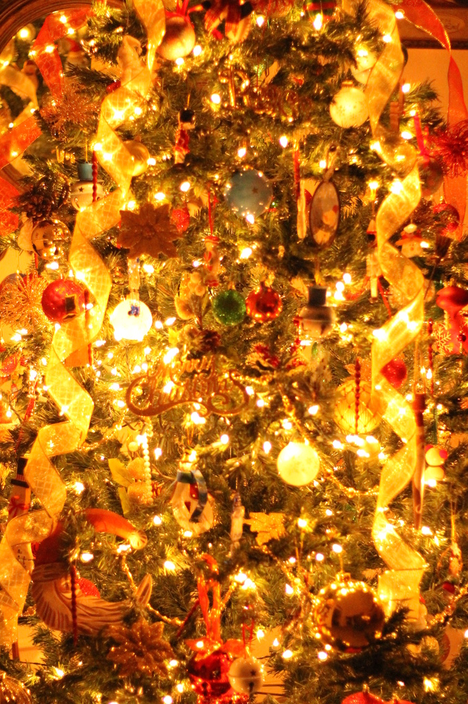 Christmas Tree by judyc57