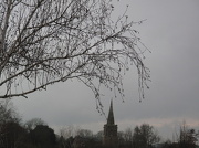 26th Nov 2012 - Another Grey Midlands Day...