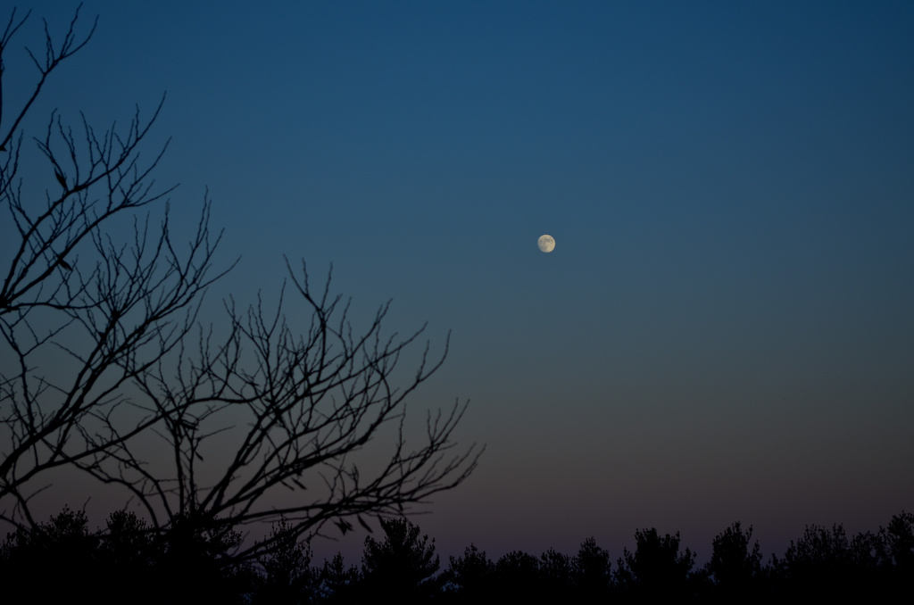 Twilight Moon by lesip
